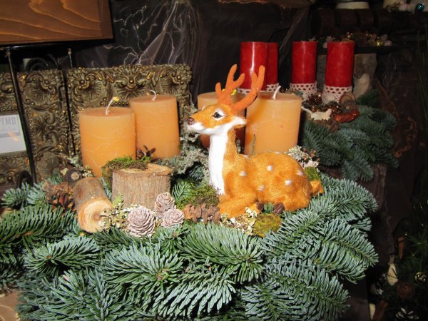 Kati virágáruda, Budapest Kati_019