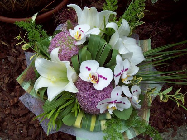 Botanikart virágüzlet