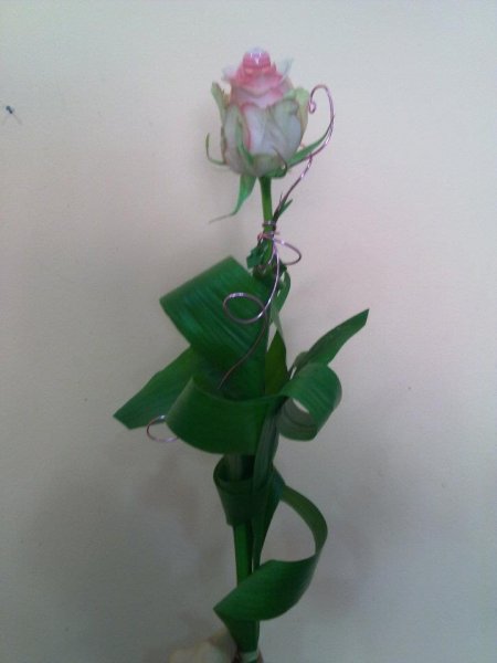 Való Virág, Komárom