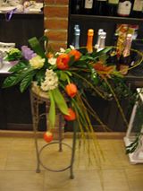 Gógucz Nóra, Éléskamra Veresegyháza