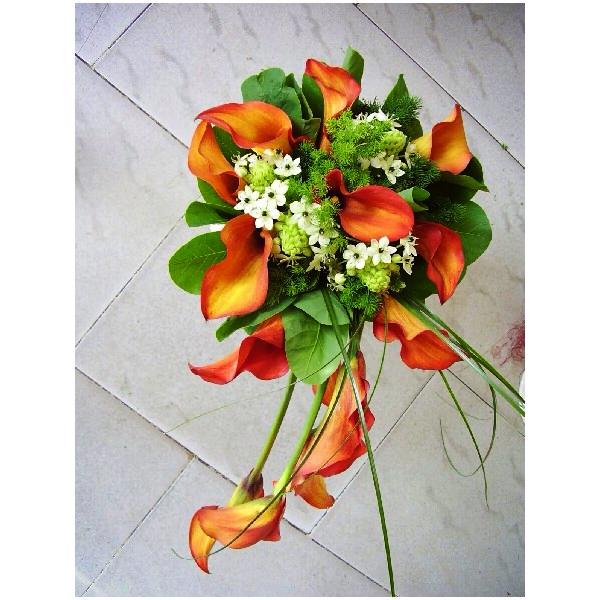 Reiterdekor, Budapest