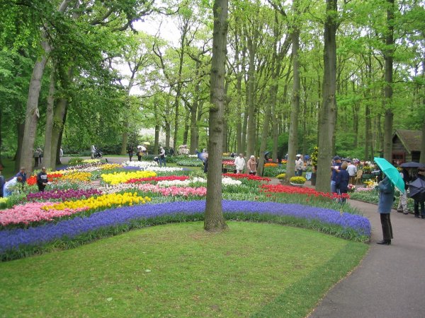 07Keukenhof0008