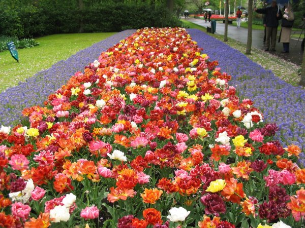 07Keukenhof0038