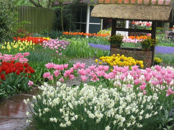 07Keukenhof0044