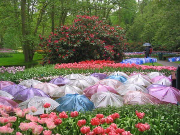 07Keukenhof0065