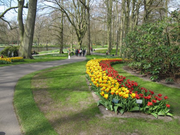 Keukenhof_035