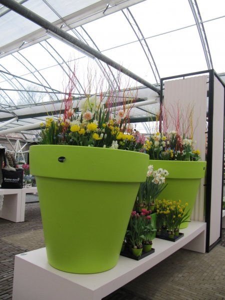 Keukenhof_215