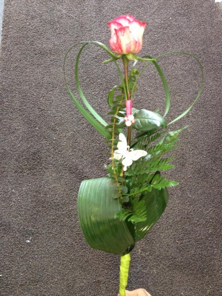 Florissimo Creative, Fót