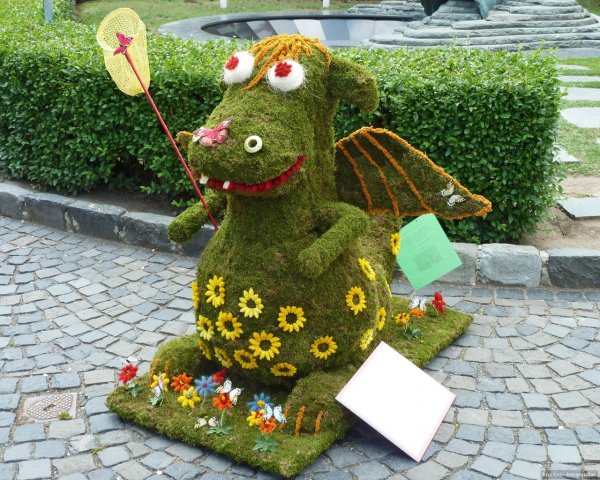 susu-a-sarkany-szekesfehervaron-punkosd-vasarnap