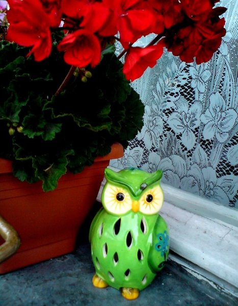 Sánta Mónika muskátlija és baglya Lentiből