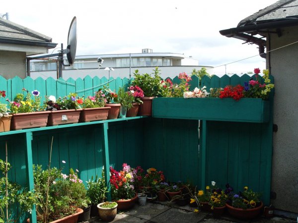 Benkő Zsuzsanna színpompás terasza