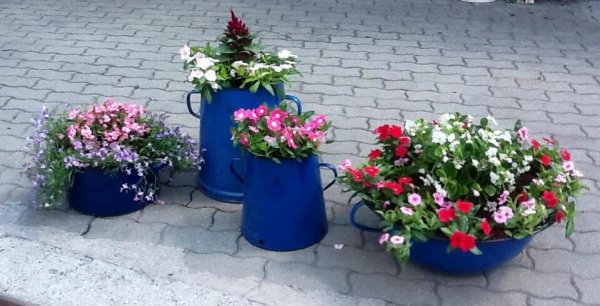 Bajkóné Sági Katalin színes bödönjei