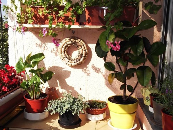 Sirokai Mária virágos édenje