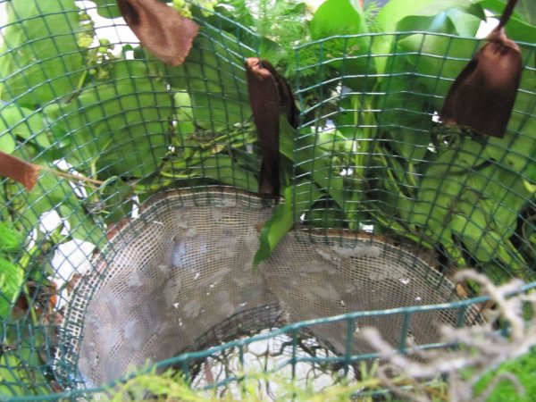 A rózsás ruha belseje