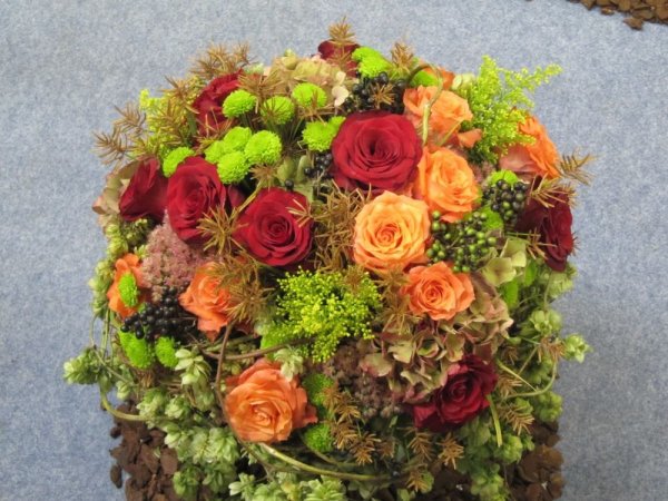 Hortus_016