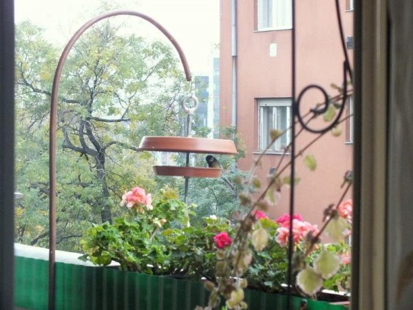 Sztárainé Szűcs Gabriella