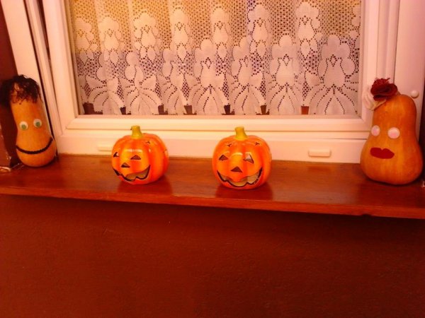 szőcsné zsuzsanna2