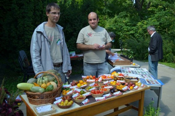 Balról Dr Halász Krisztián