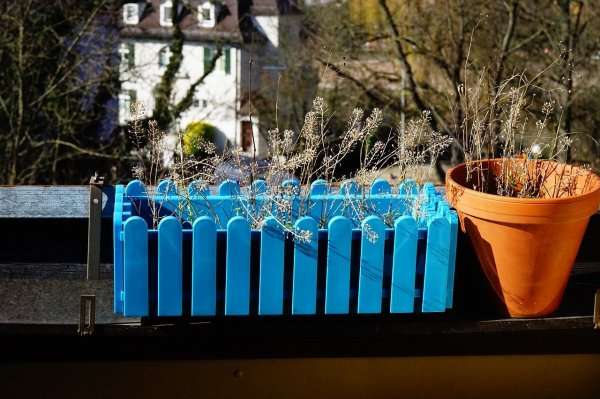flower-box-272271_1280