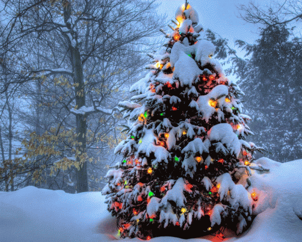 karácsonyfa-TWINKLE