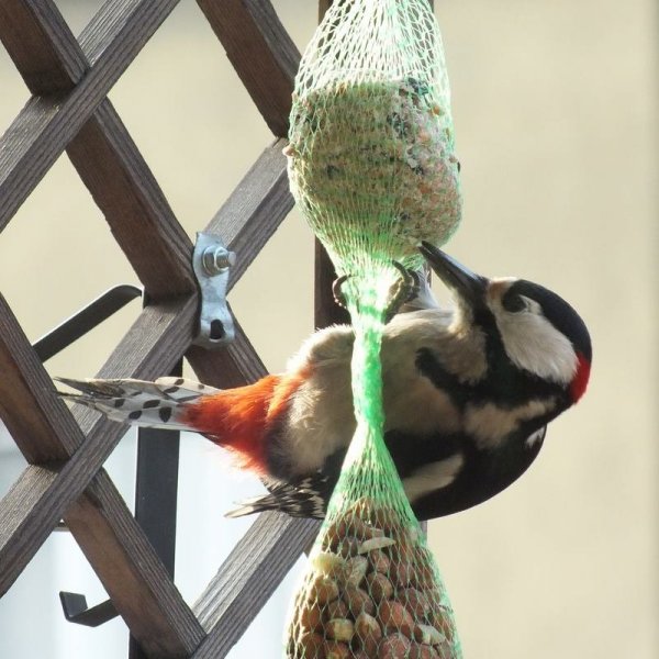 Köszönöm a képet Sztárainé Szűcs Gabriellának