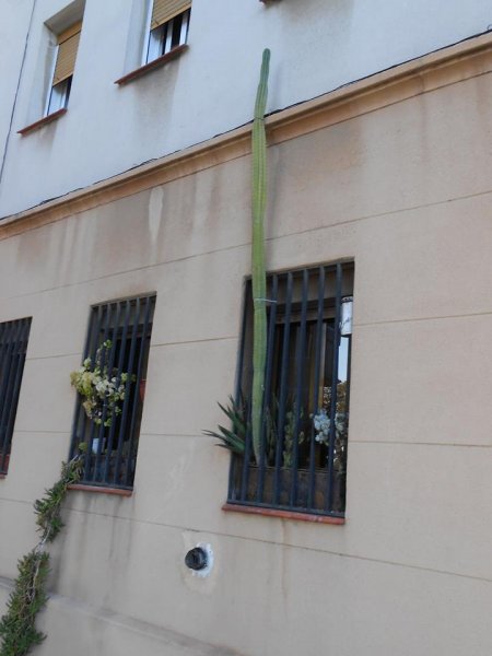 barcelona2jpg
