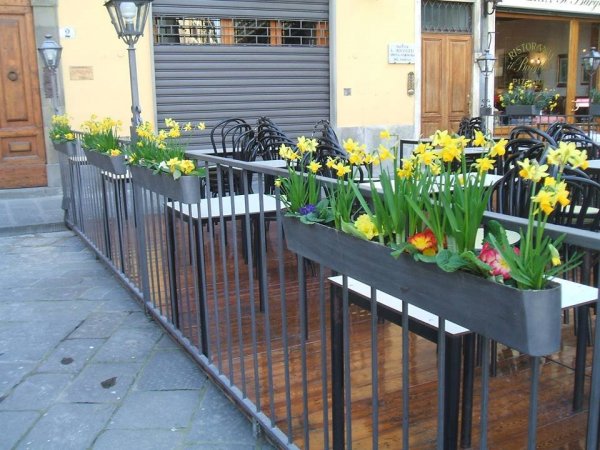 Firenze