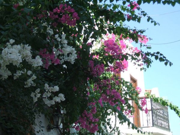 rhodos