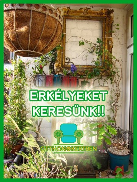 otthon a kert