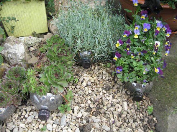 Szem Lászlóné Rózsika