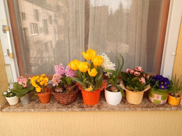 Kovács-Beszedics Zita2