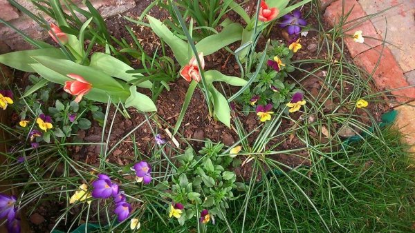 Szalainé Boglárka3