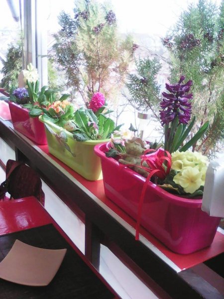 mitre orosz gabriella