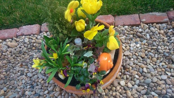 szalainé boglárka2