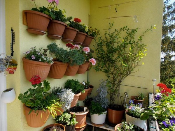 Pintér Márta11 másolata