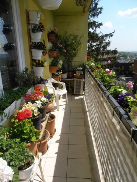 pintér márta9 másolata