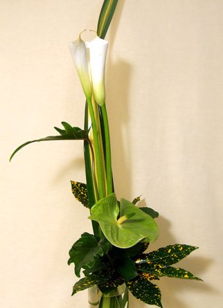 Anthurium_es_kala_2_1186.large