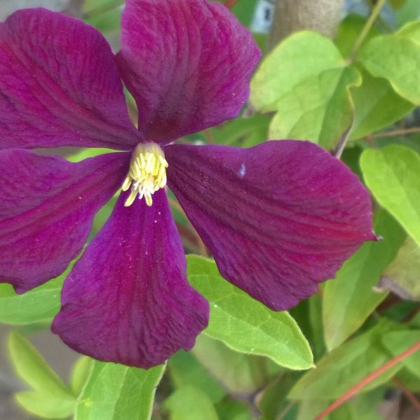 InstagramCapture_27bd2682-6aa5-4e62-8ab2-4e36f5a7abe8