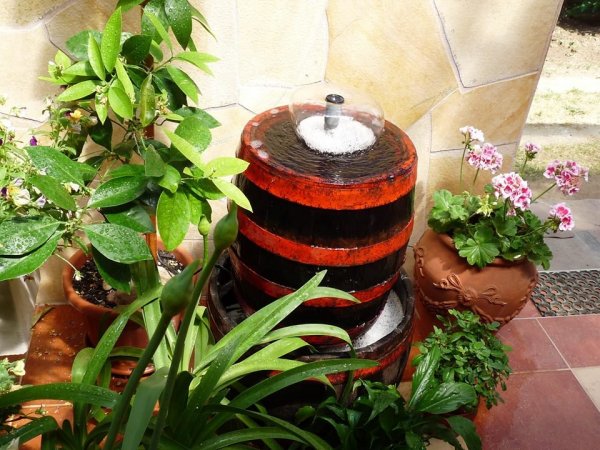 csobogó2-szabó András