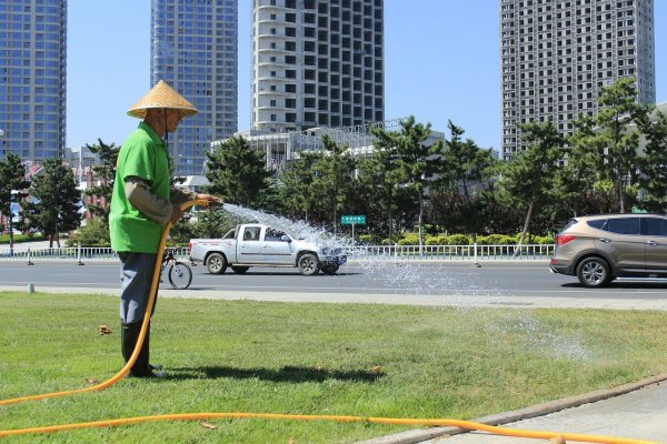 watering-617304_1280