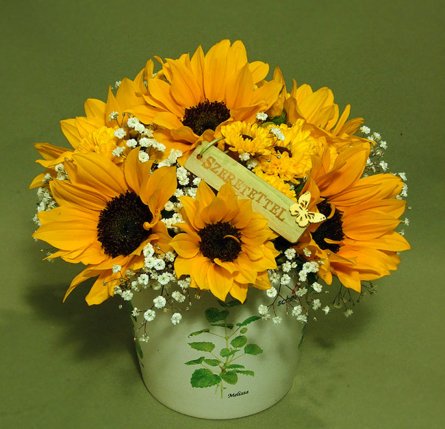 Napraforgok_szeretettel_-_napraforgos_viragtal_2_9374.large