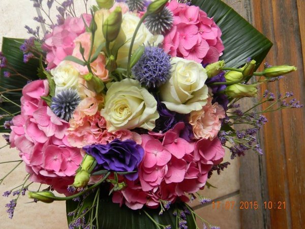 csokor_angéla Gyurkó