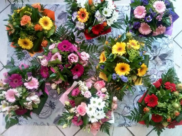 csokor_edit váradiné