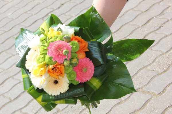 fogadj_clarissa virág