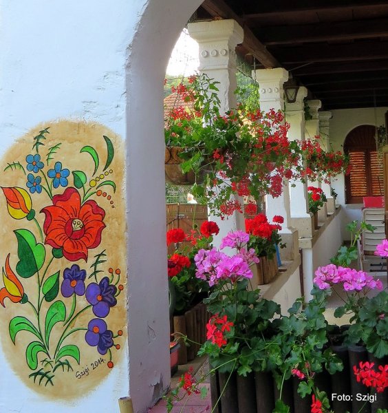 Szentpétery Ildikó