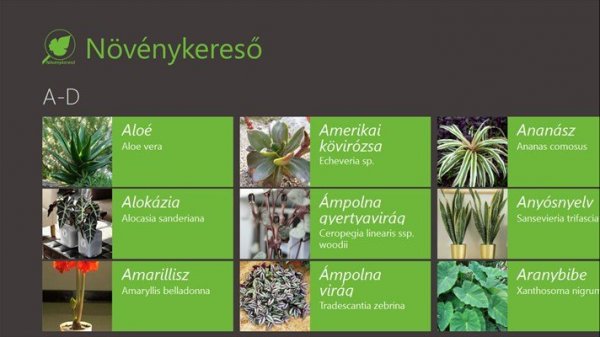 apps.19919.13510798886153785.f63ee664-ce56-4984-a5f9-fa2f90ba3247