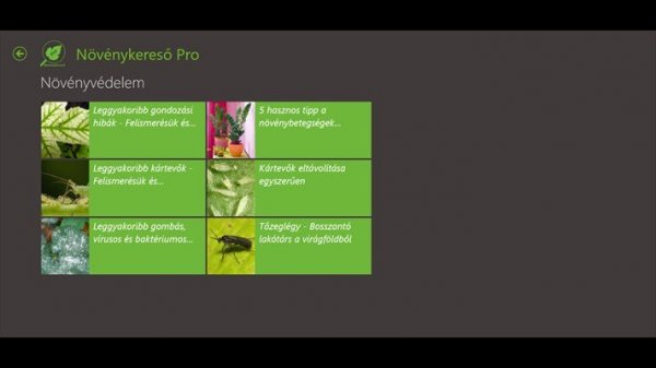 apps.25314.13510798886153818.41d09d6c-329e-43ae-a34a-f2f4e69b4446