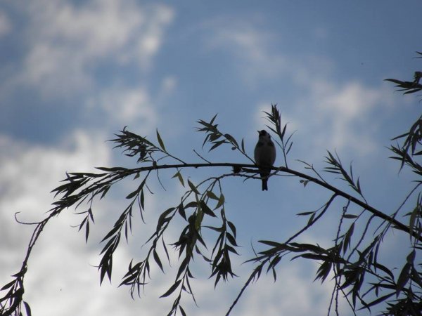 nap_Takács Ildikó1