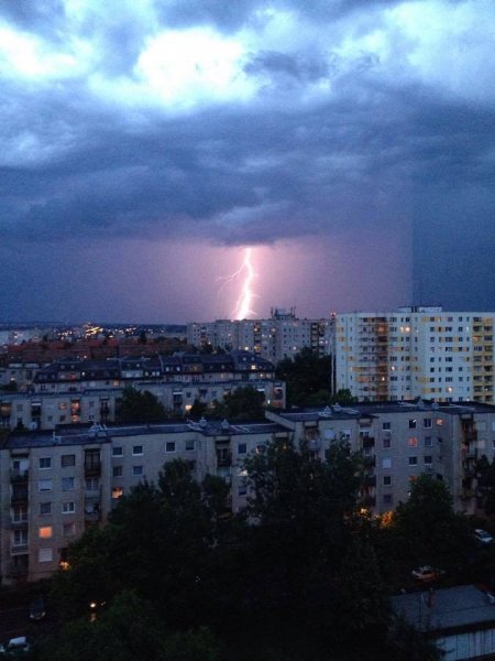 nap_Viczai Károlyné