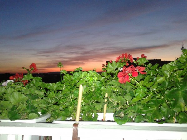 nap_viczai Károlyné6